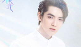 鹿晗爆料吃瓜事件视频播放,吃瓜事件视频播放背后的惊人真相